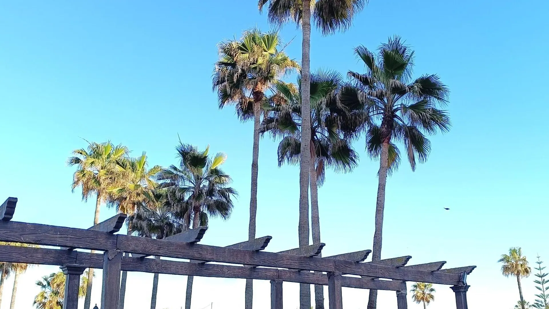 Apartamento La Noria Pie De Playa Manilva サン・ルイス・デ・サビニリャス アパート