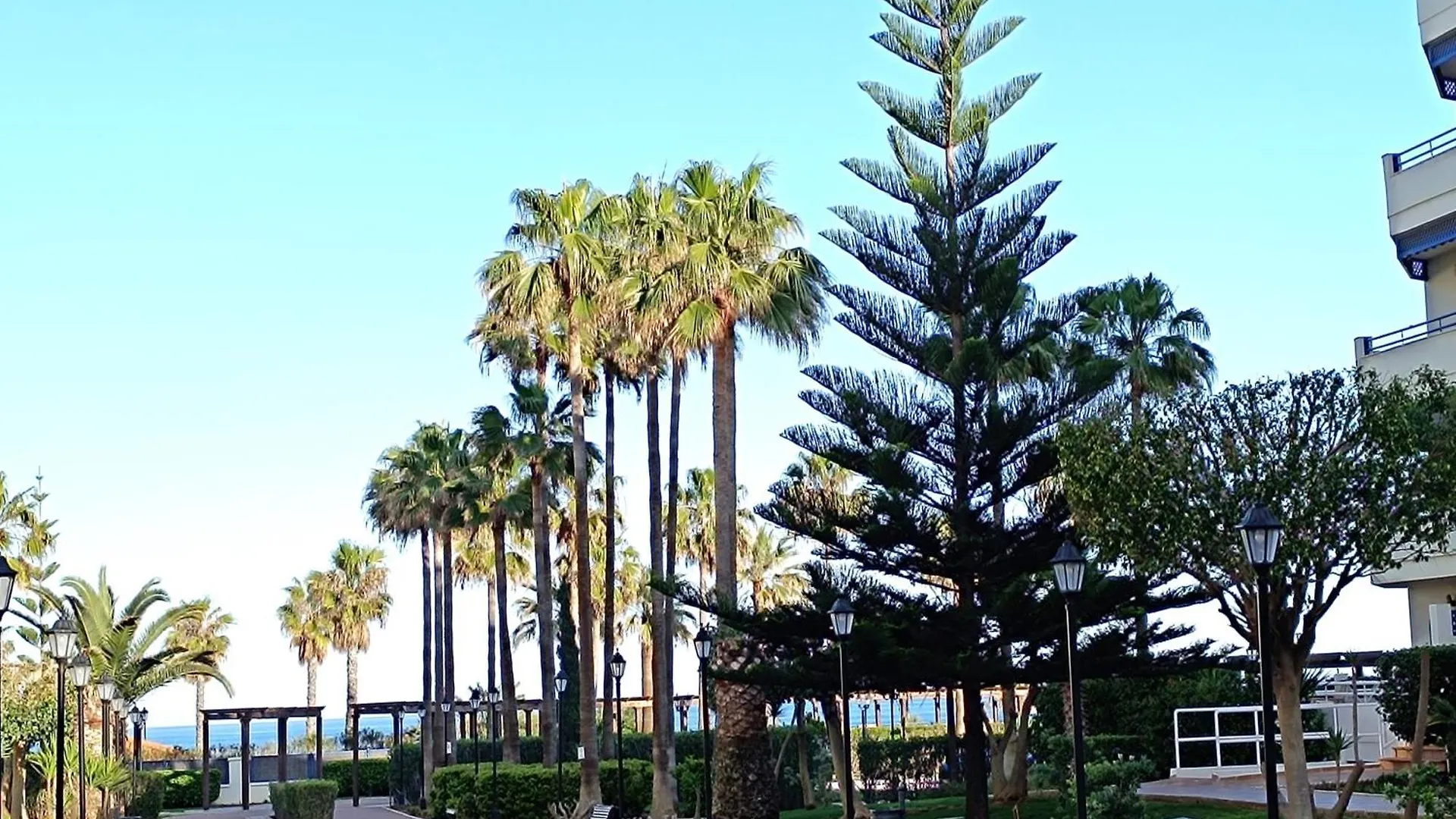 Apartamento La Noria Pie De Playa Manilva サン・ルイス・デ・サビニリャス