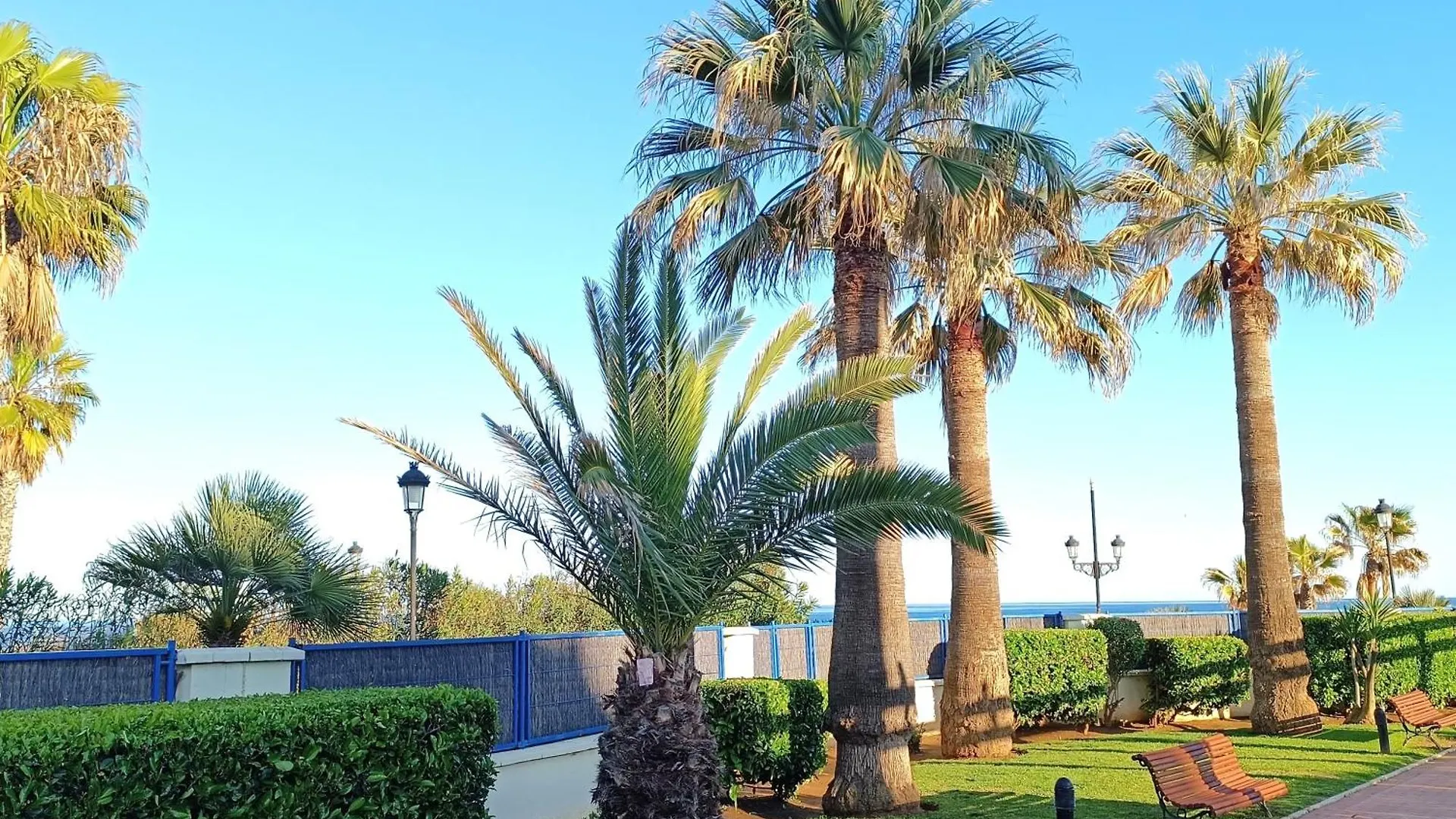 Apartamento La Noria Pie De Playa Manilva サン・ルイス・デ・サビニリャス 0*,